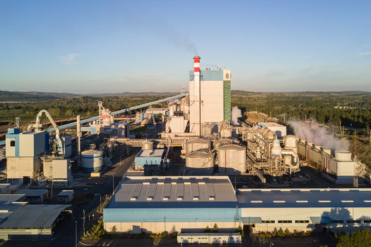 Vista aérea de una planta de celulosa industrial con chimeneas, tanques de almacenamiento y estructuras de procesamiento rodeadas de vegetación forestal.