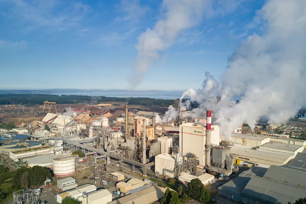 Vista aérea de una planta de celulosa industrial con chimeneas emitiendo vapor, tanques de almacenamiento y estructuras de procesamiento bajo un cielo despejado.