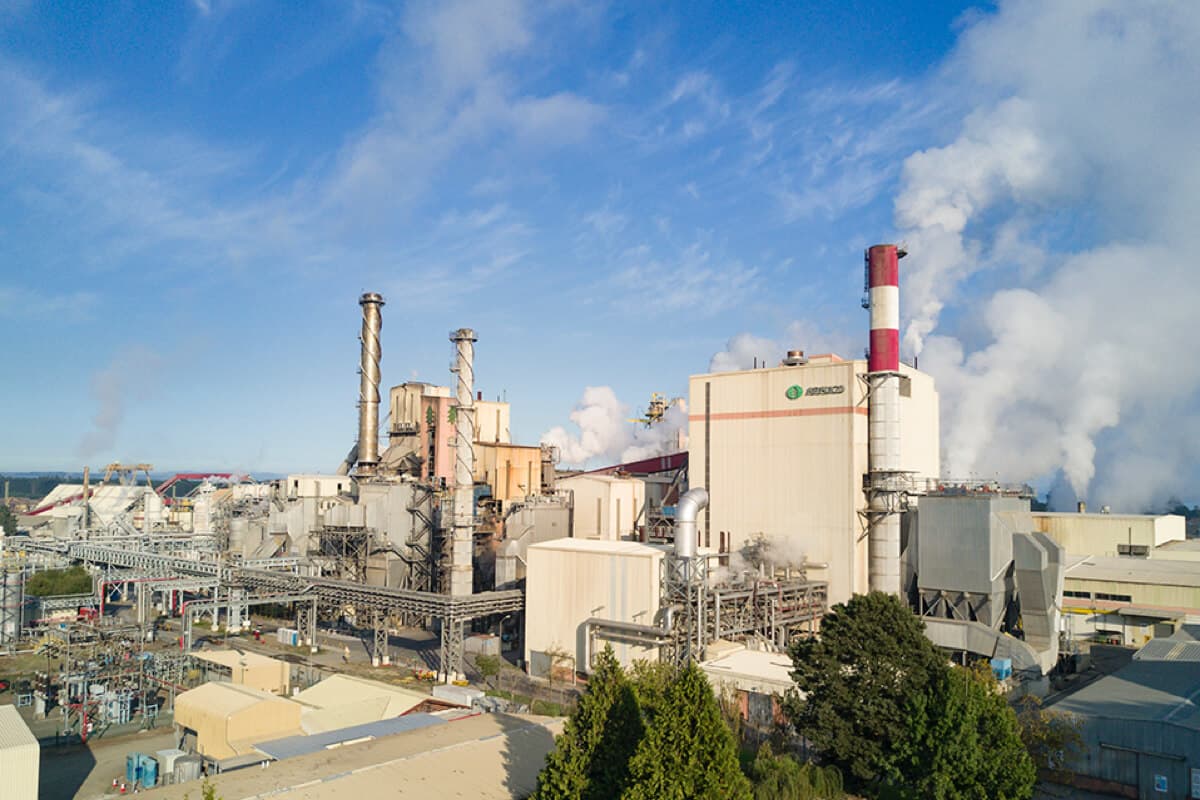 Vista aérea de una planta de celulosa con chimeneas, calderas y estructuras metálicas expuestas a la intemperie y ambientes químicos corrosivos.