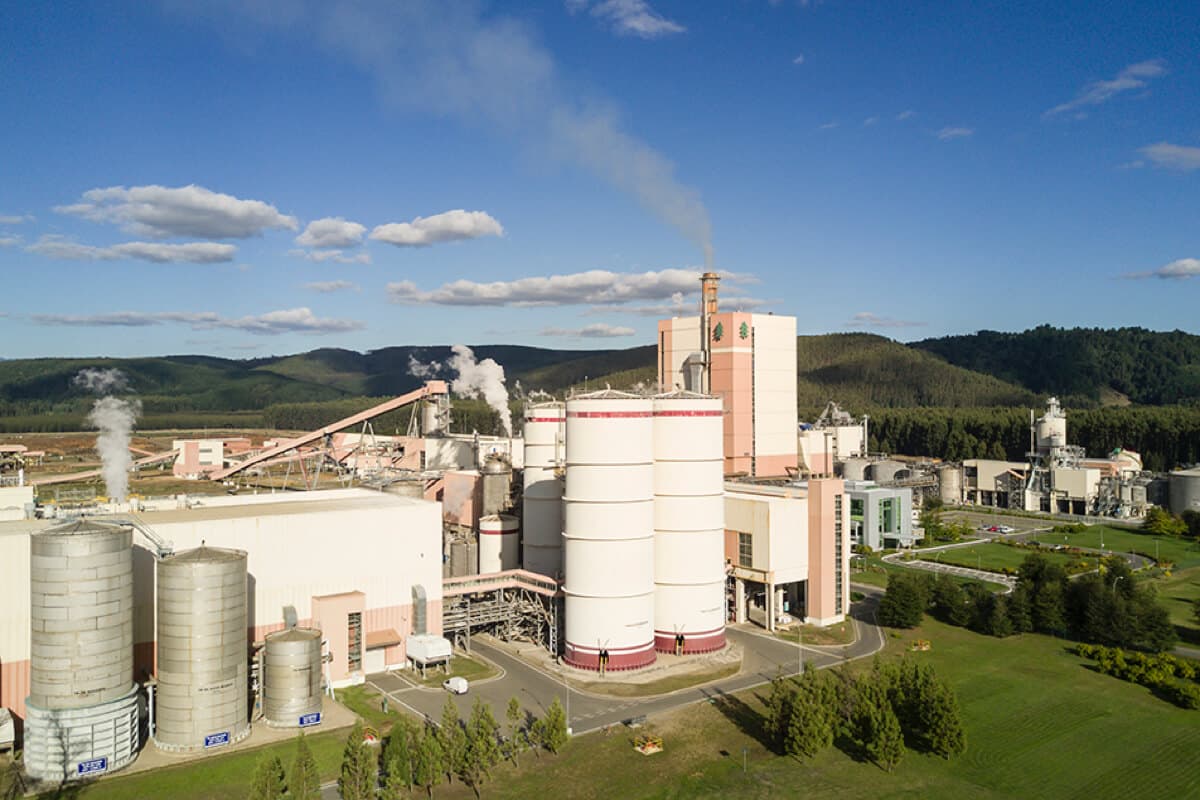 Vista aérea de una planta de celulosa con grandes silos blancos, chimeneas emitiendo vapor y estructuras industriales rodeadas de bosques y cerros.