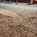 Casos aplicación Minería