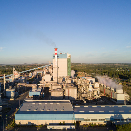 Industria Celulosa y papel